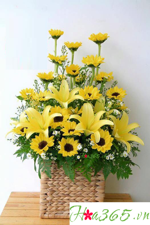 hoa chúc mừng, hoa sinh nhật, hoa ly vàng, hoa hướng dương, hoa đồng tiền