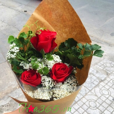 bó hoa hồng đỏ, hoa bó, bó hoa xinh, bó hoa đẹp