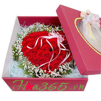hoa hộp trái tim, hoa tinhg yêu, hoa hồng đỏ, hộp hoa hồng sa, hoa hồng sa, hoa bibi